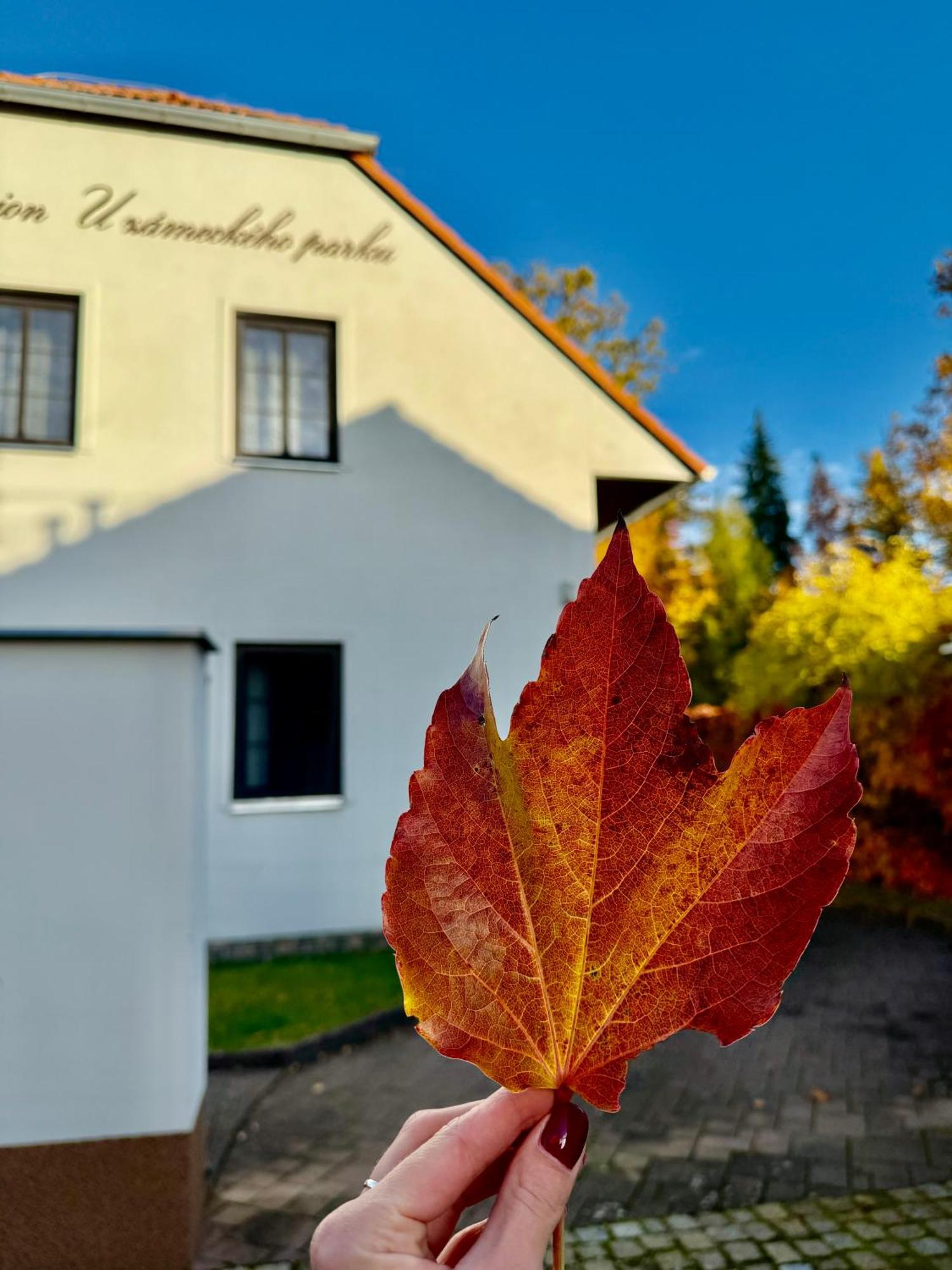 Penzion U zámeckého parku Třeboň Extérieur photo